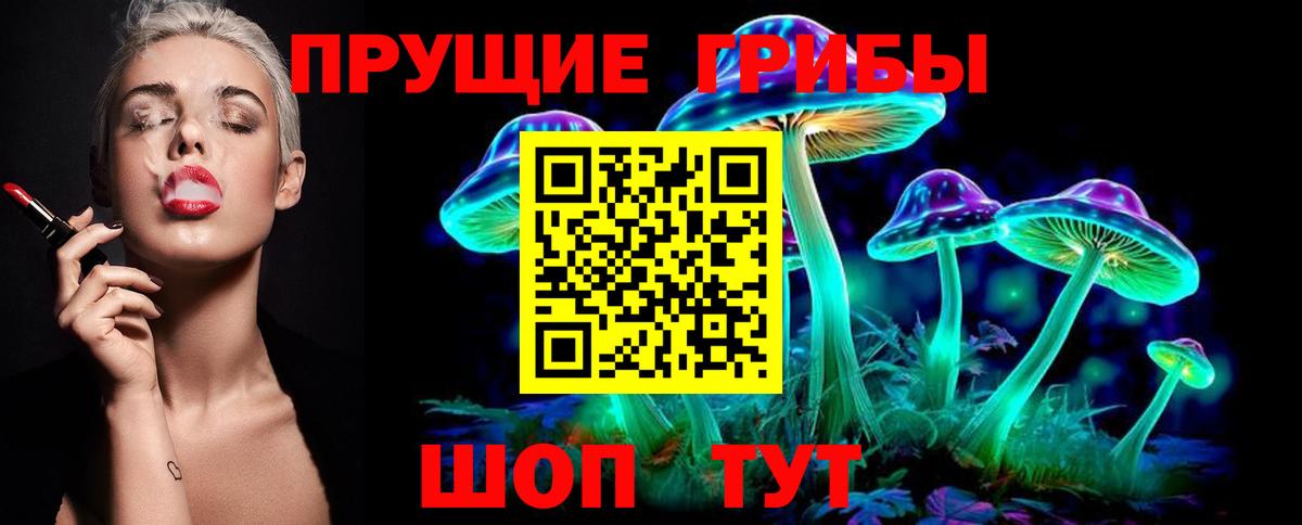 Псилоцибиновые грибы мицелий Калуга